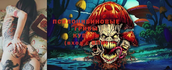 марки nbome Гусиноозёрск